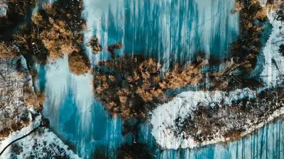 What Do You Think About Cheese Pizza Recipes?